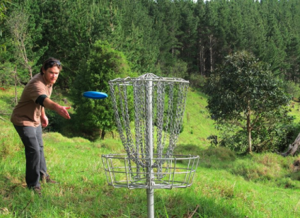 Frisbee or Disc Golf