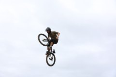 MDxWH_12