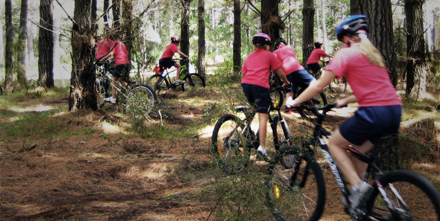 Woodhill Mountain Bike Park Auckland s Homeground for Mountain